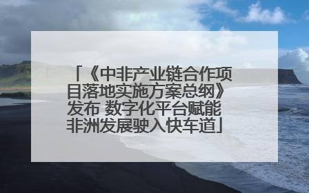 《中非产业链合作项目落地实施方案总纲》发布 数字化平台赋能非洲发展驶入快车道