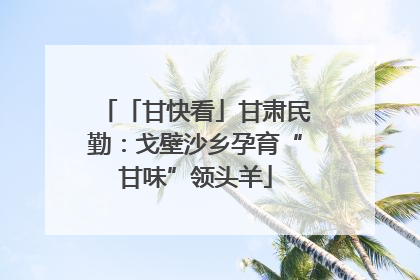 「甘快看」甘肃民勤：戈壁沙乡孕育“甘味”领头羊