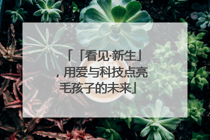 「看见·新生」，用爱与科技点亮毛孩子的未来