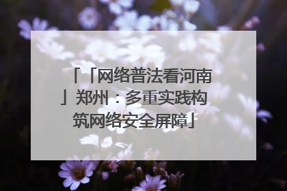 「网络普法看河南」郑州：多重实践构筑网络安全屏障