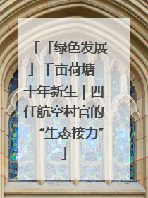 「绿色发展」千亩荷塘 十年新生｜四任航空村官的“生态接力”