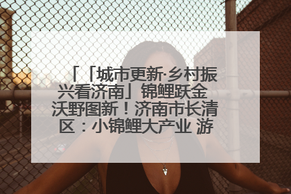 「城市更新·乡村振兴看济南」锦鲤跃金 沃野图新！济南市长清区：小锦鲤大产业 游出农旅新风景