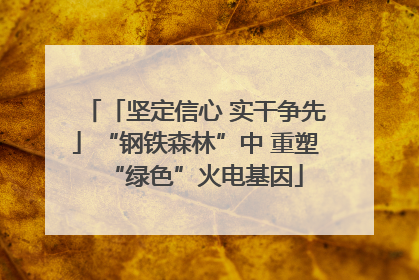 「坚定信心 实干争先」“钢铁森林”中 重塑“绿色”火电基因