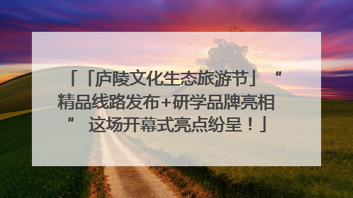 「庐陵文化生态旅游节」“精品线路发布+研学品牌亮相” 这场开幕式亮点纷呈！