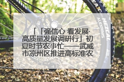 「强信心 看发展·高质量发展调研行」初夏时节农事忙——武威市凉州区推进高标准农田建设见闻