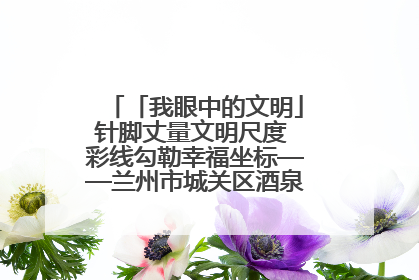 「我眼中的文明」针脚丈量文明尺度 彩线勾勒幸福坐标——兰州市城关区酒泉路街道办事处