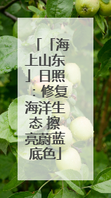 「海上山东」日照：修复海洋生态 擦亮蔚蓝底色