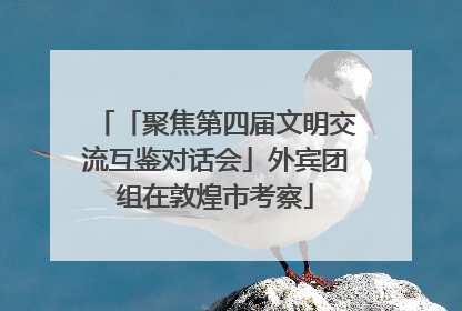 「聚焦第四届文明交流互鉴对话会」外宾团组在敦煌市考察