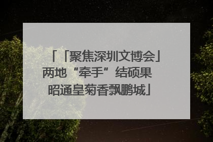 「聚焦深圳文博会」两地“牵手”结硕果 昭通皇菊香飘鹏城