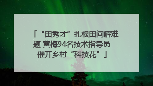 “田秀才”扎根田间解难题 黄梅94名技术指导员催开乡村“科技花”
