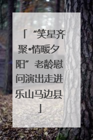 “笑星齐聚•情暖夕阳”老龄慰问演出走进乐山马边县