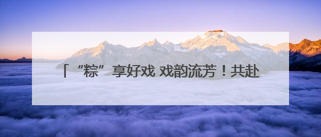 “粽”享好戏 戏韵流芳！共赴河北“中华有好戏”特别之约