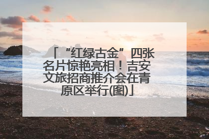 “红绿古金”四张名片惊艳亮相！吉安文旅招商推介会在青原区举行(图)