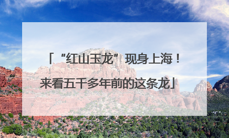 “红山玉龙”现身上海！来看五千多年前的这条龙