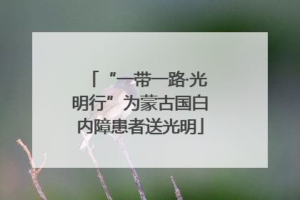“一带一路·光明行”为蒙古国白内障患者送光明