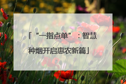 “一指点单”：智慧种烟开启惠农新篇