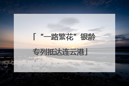 “一路繁花”银龄专列抵达连云港