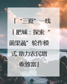 “三夏”一线丨肥城：探索“菌果蔬”轮作模式 助力农民增收致富