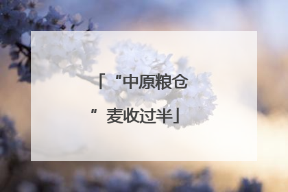“中原粮仓”麦收过半