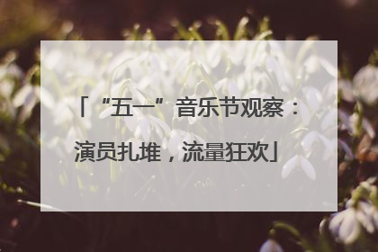 “五一”音乐节观察：演员扎堆，流量狂欢