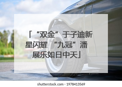 “双金”于子迪新星闪耀 “九冠”潘展乐如日中天