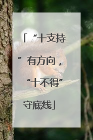 “十支持”有方向，“十不得”守底线