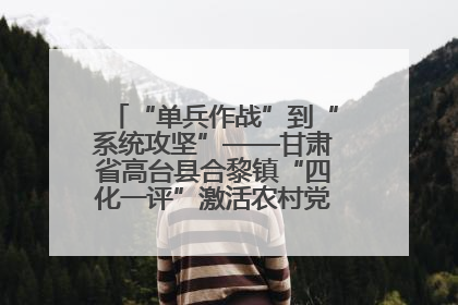 “单兵作战”到“系统攻坚”——甘肃省高台县合黎镇“四化一评”激活农村党员管理新引擎