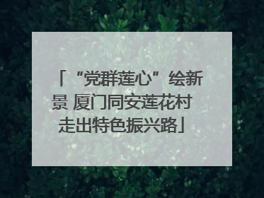 “党群莲心”绘新景 厦门同安莲花村走出特色振兴路