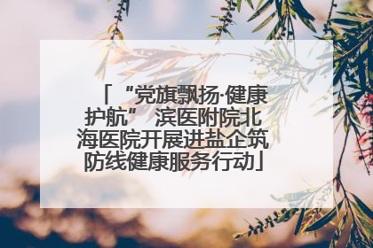 “党旗飘扬·健康护航” 滨医附院北海医院开展进盐企筑防线健康服务行动