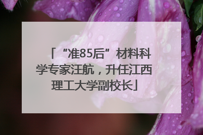 “准85后”材料科学专家汪航，升任江西理工大学副校长