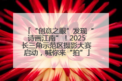 “创意之眼”发现“诗画江南”！2025长三角示范区摄影大赛启动，喊你来“拍”