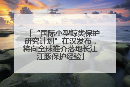“国际小型鲸类保护研究计划”在汉发布，将向全球推介落地长江江豚保护经验