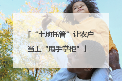 “土地托管”让农户当上“甩手掌柜”