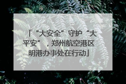 “大安全”守护“大平安”，郑州航空港区明港办事处在行动