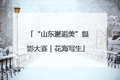 “山东邂逅美”摄影大赛｜花海写生
