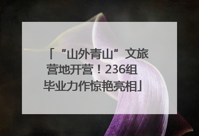 “山外青山”文旅营地开营！236组毕业力作惊艳亮相