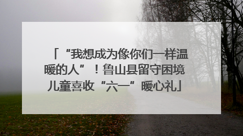 “我想成为像你们一样温暖的人”！鲁山县留守困境儿童喜收“六一”暖心礼