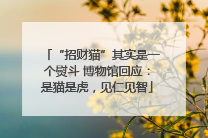 “招财猫”其实是一个熨斗 博物馆回应：是猫是虎，见仁见智