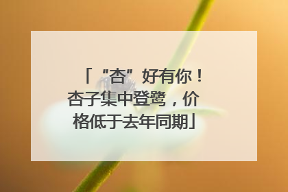 “杏”好有你！杏子集中登鹭，价格低于去年同期