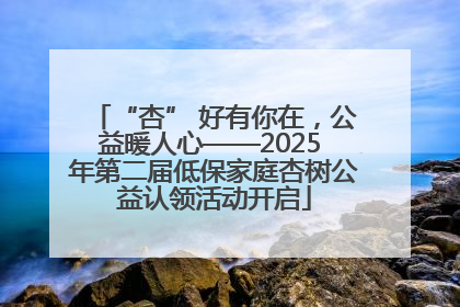 “杏” 好有你在，公益暖人心——2025 年第二届低保家庭杏树公益认领活动开启