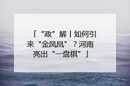 “政”解丨如何引来“金凤凰”？河南亮出“一盘棋”