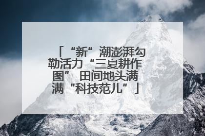 “新”潮澎湃勾勒活力“三夏耕作图” 田间地头满满“科技范儿”