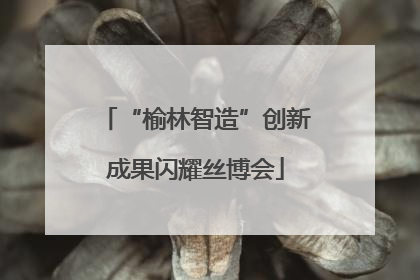 “榆林智造”创新成果闪耀丝博会