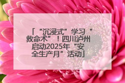 “沉浸式”学习“救命术”！四川泸州启动2025年“安全生产月”活动