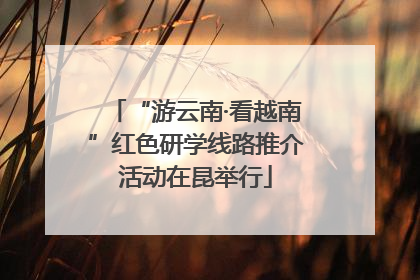 “游云南·看越南”红色研学线路推介活动在昆举行