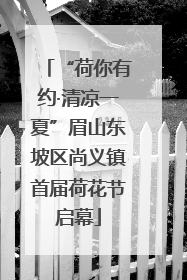 “荷你有约·清凉一夏”眉山东坡区尚义镇首届荷花节启幕