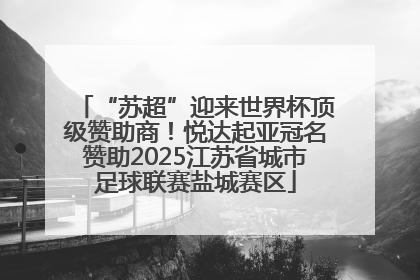 “苏超”迎来世界杯顶级赞助商！悦达起亚冠名赞助2025江苏省城市足球联赛盐城赛区
