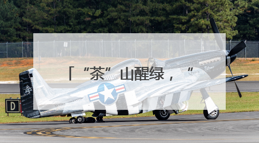 “茶”山醒绿，“悟”见金山：鄂北老区的振兴密码
