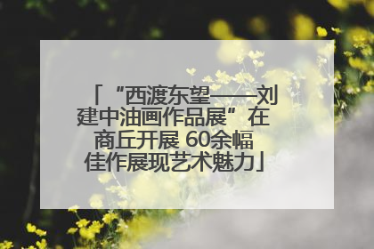 “西渡东望——刘建中油画作品展”在商丘开展 60余幅佳作展现艺术魅力