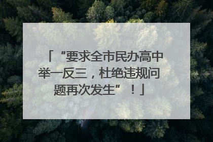“要求全市民办高中举一反三，杜绝违规问题再次发生”！